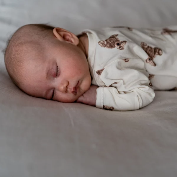 Untitled-2_0004_DSC00719-2