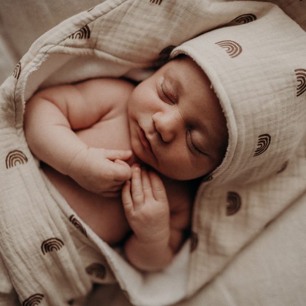 Untitled-2_0002_DSC00199