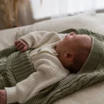 Luxury Pram Cosy (Lined)