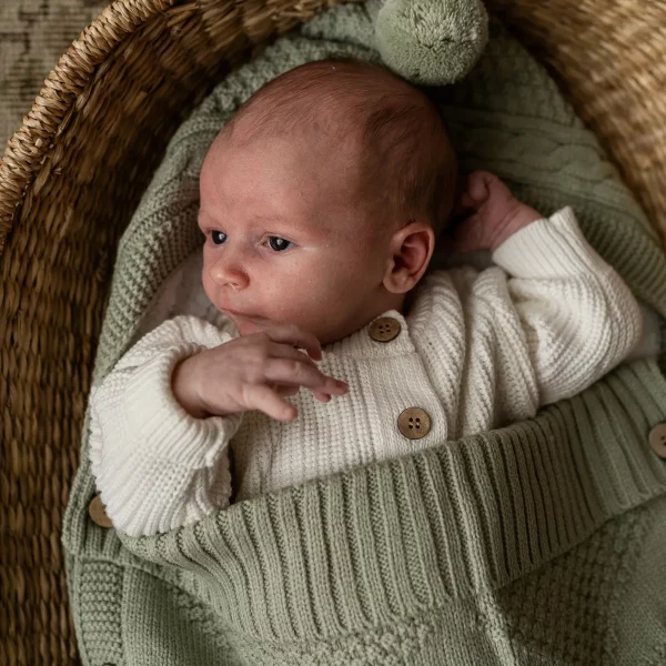 Luxury Pram Cosy (Lined)