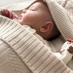 Luxury Pram Cosy (Lined)