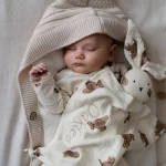 Luxury Pram Cosy (Lined)