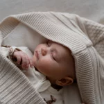 Luxury Pram Cosy (Lined)