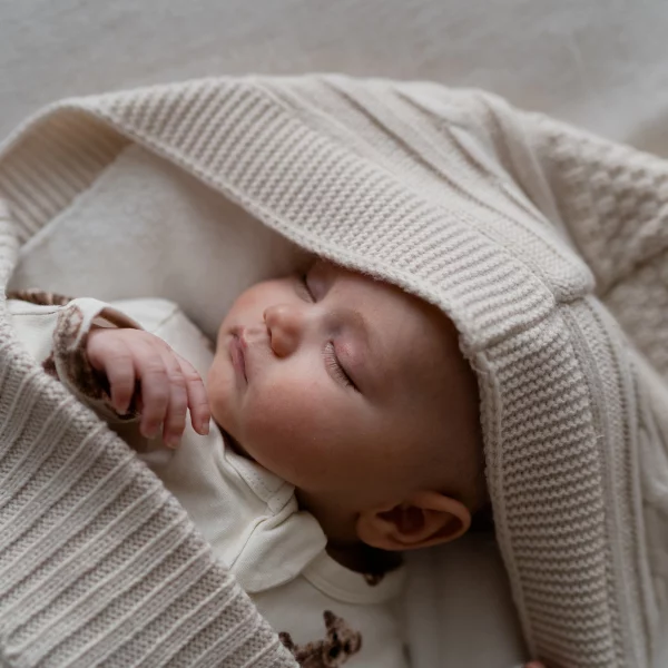 Luxury Pram Cosy (Lined)