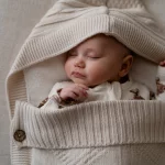 Luxury Pram Cosy (Lined)