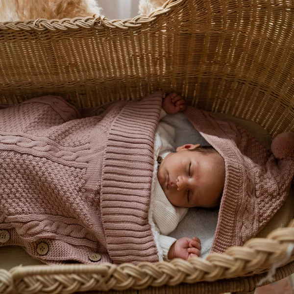 Luxury Pram Cosy (Lined)