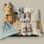 Welcome to the World Set