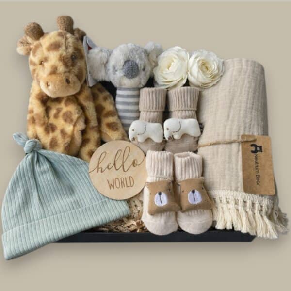 Welcome to the World Set